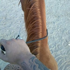 Meet your Posher, Albert